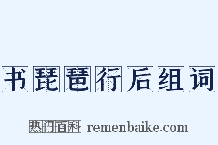 书琵琶行后组词是什么意思的图片